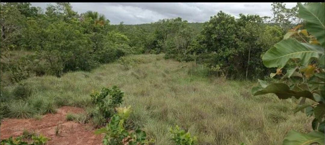 Área rural sem benfeitorias - 69,67 ha