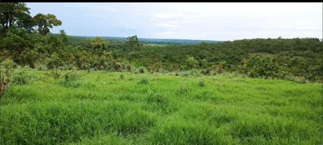 Área rural sem benfeitorias - 69,67 ha