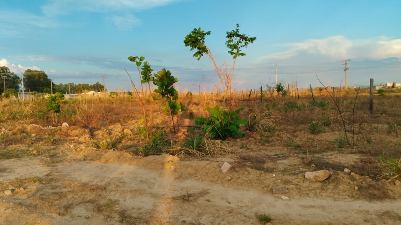 Área urbana - 531 m2