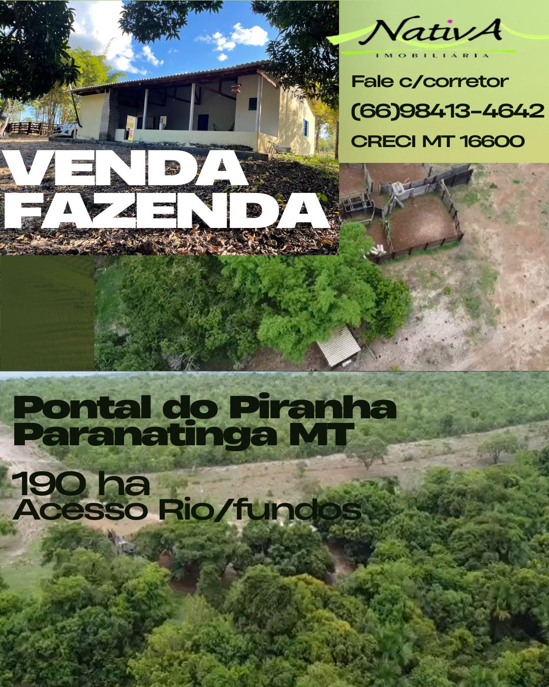 Fazenda - 190 HA
