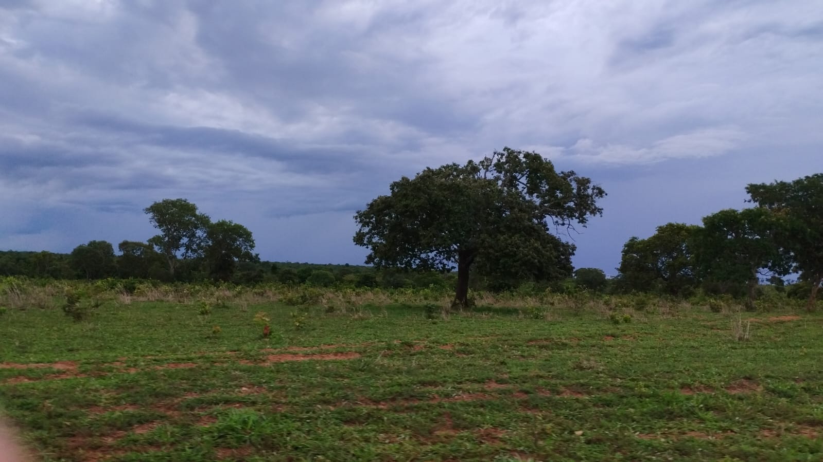 Fazenda - 380 ha