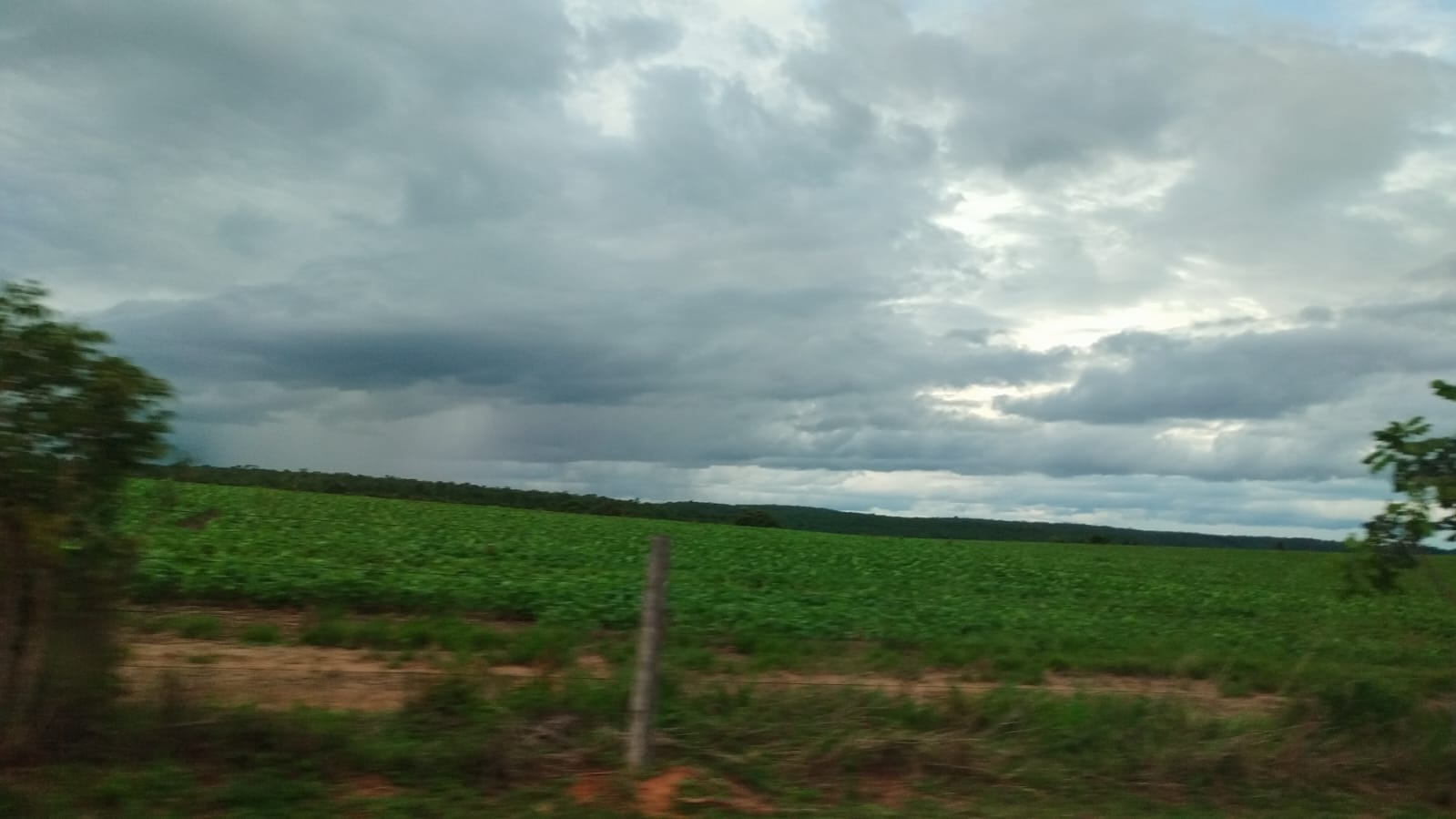 Fazenda - 380 ha