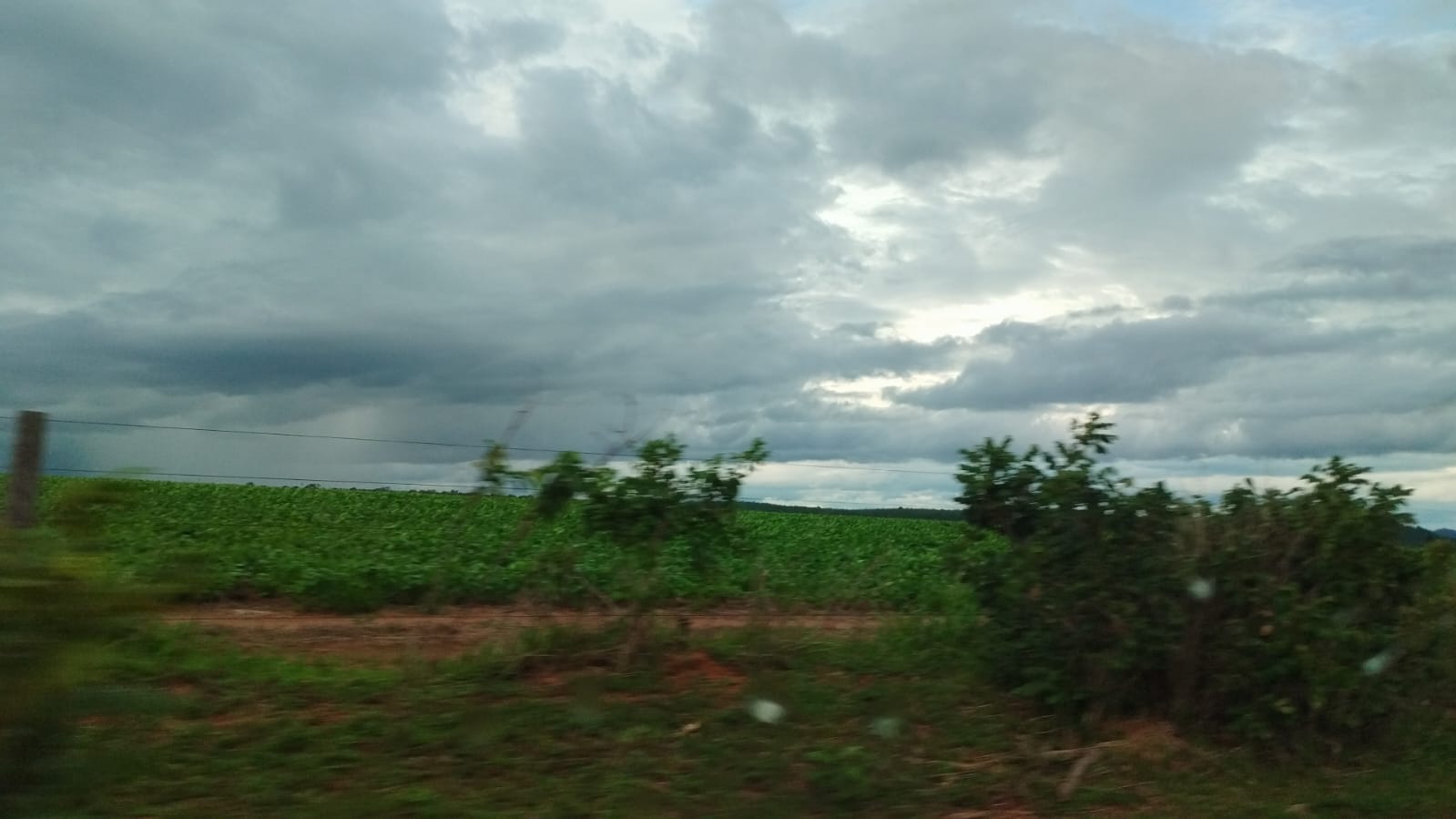 Fazenda - 380 ha