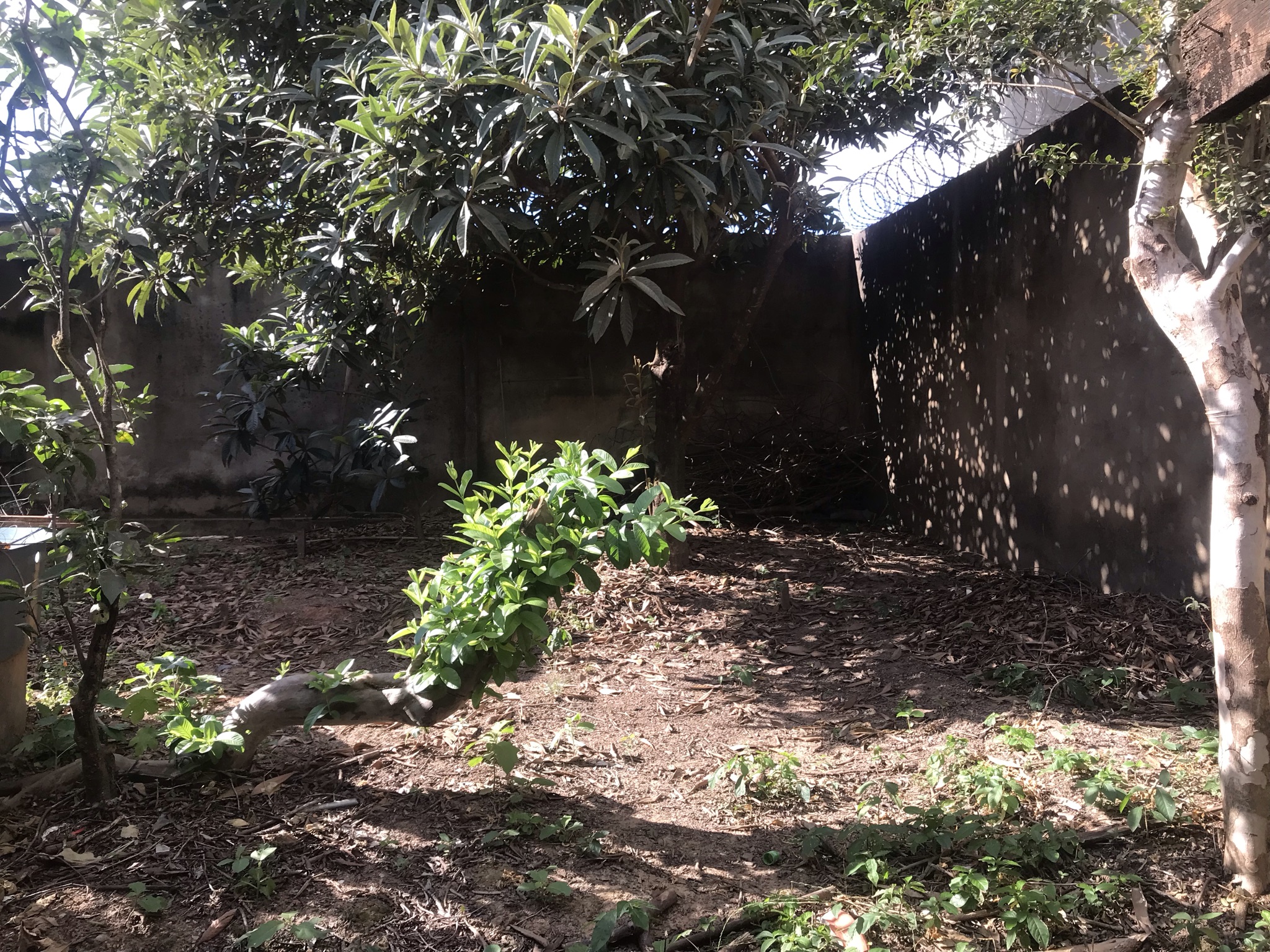 Casa residencial