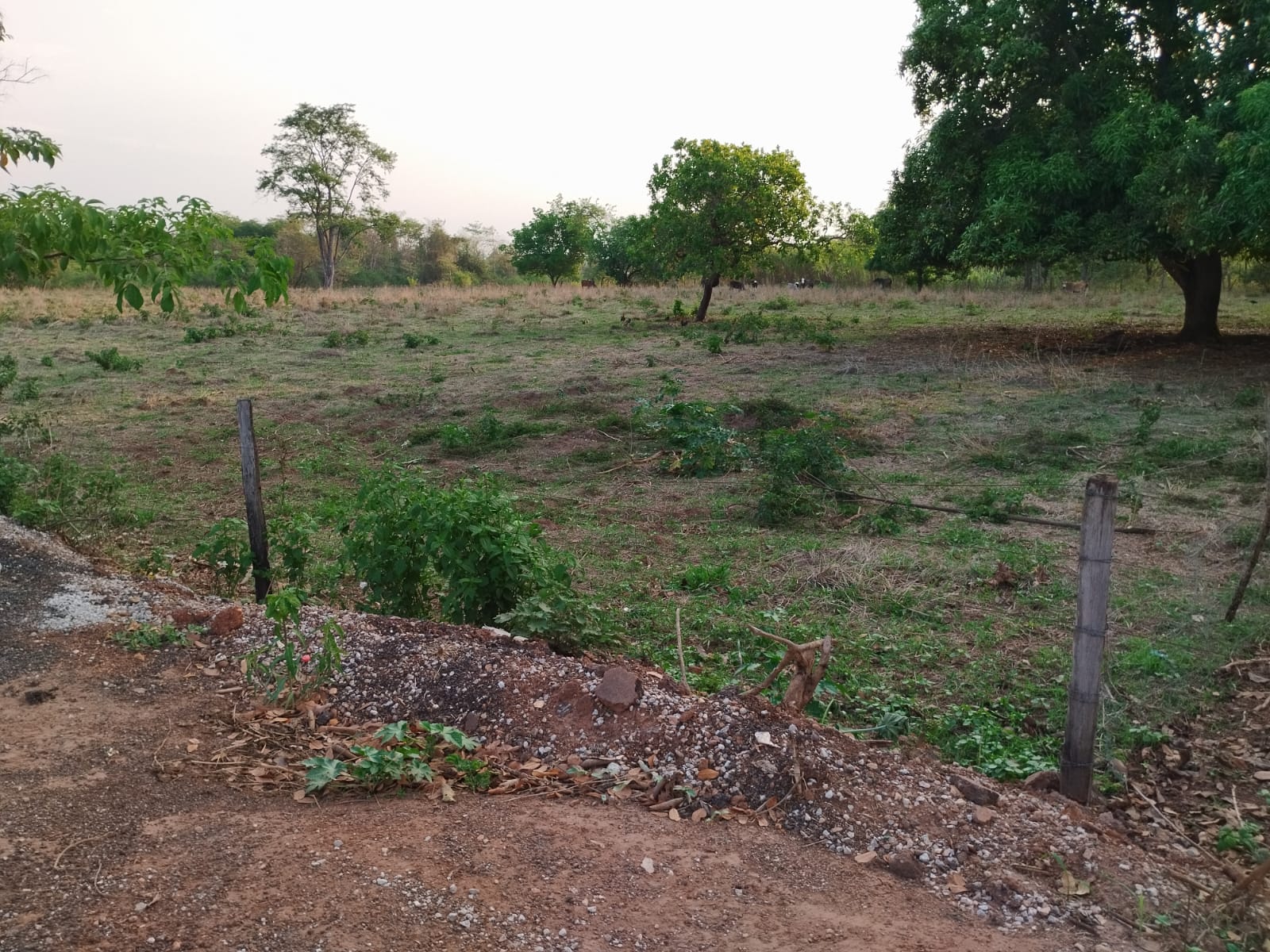 Área urbana - 36.000 m2