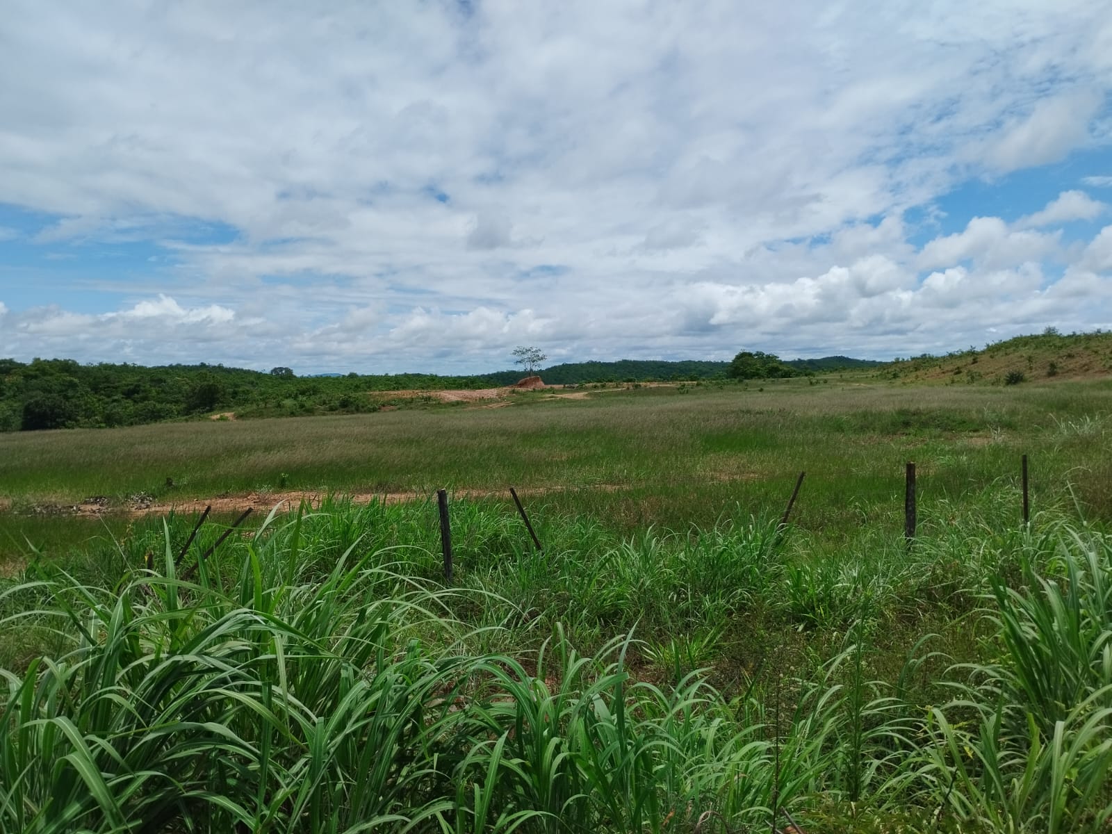 Chácara 53,00 ha - MT 130 Km 5