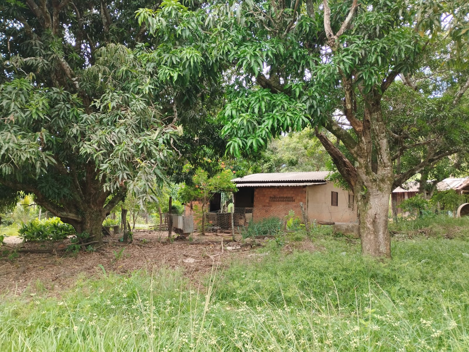 Chácara 53,00 ha - MT 130 Km 5