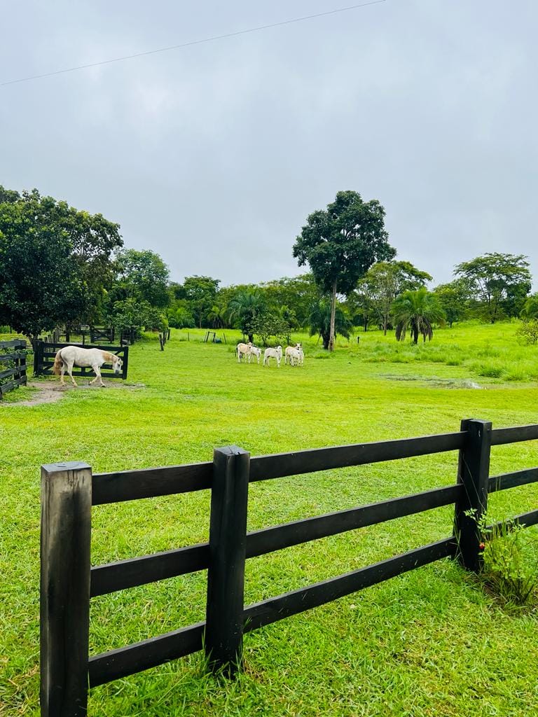 Área rural - 201 ha